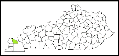mccracken county kentucky fire, fire departments in kentucky county, kentucky county ky fire stations, volunteer fire department, mccracken county kentucky, mccracken county fire station numbers, mccracken county fire jobs, mccracken county live dispatch, mccracken county fire departments, mccracken county ems, mccracken county ambulance, mccracken county kentucky firefighters