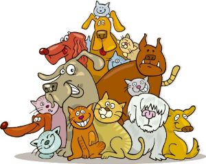 pet fire safety, pet emergency evacuation, pet emergency preparedness, fire safety tips, pet fire safety tips, home fire safety, pet emergency plan, pet evacuation plan, fire safety for pets, don't forget your pets, kentucky fire, kentucky firefighters, ky firefighters, ky fire, kentucky fire department